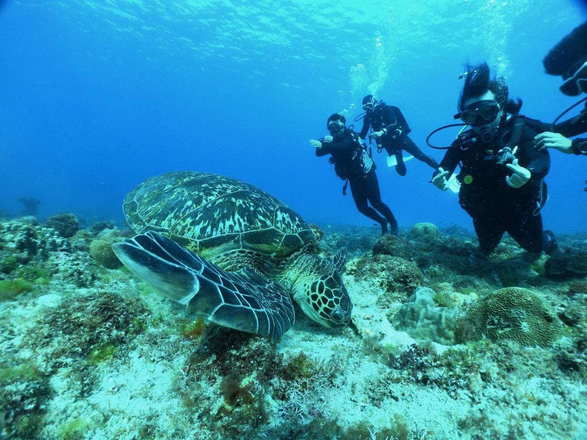 Stay Liuqiu Diving Hostel Xiaoliuqiu Buitenkant foto