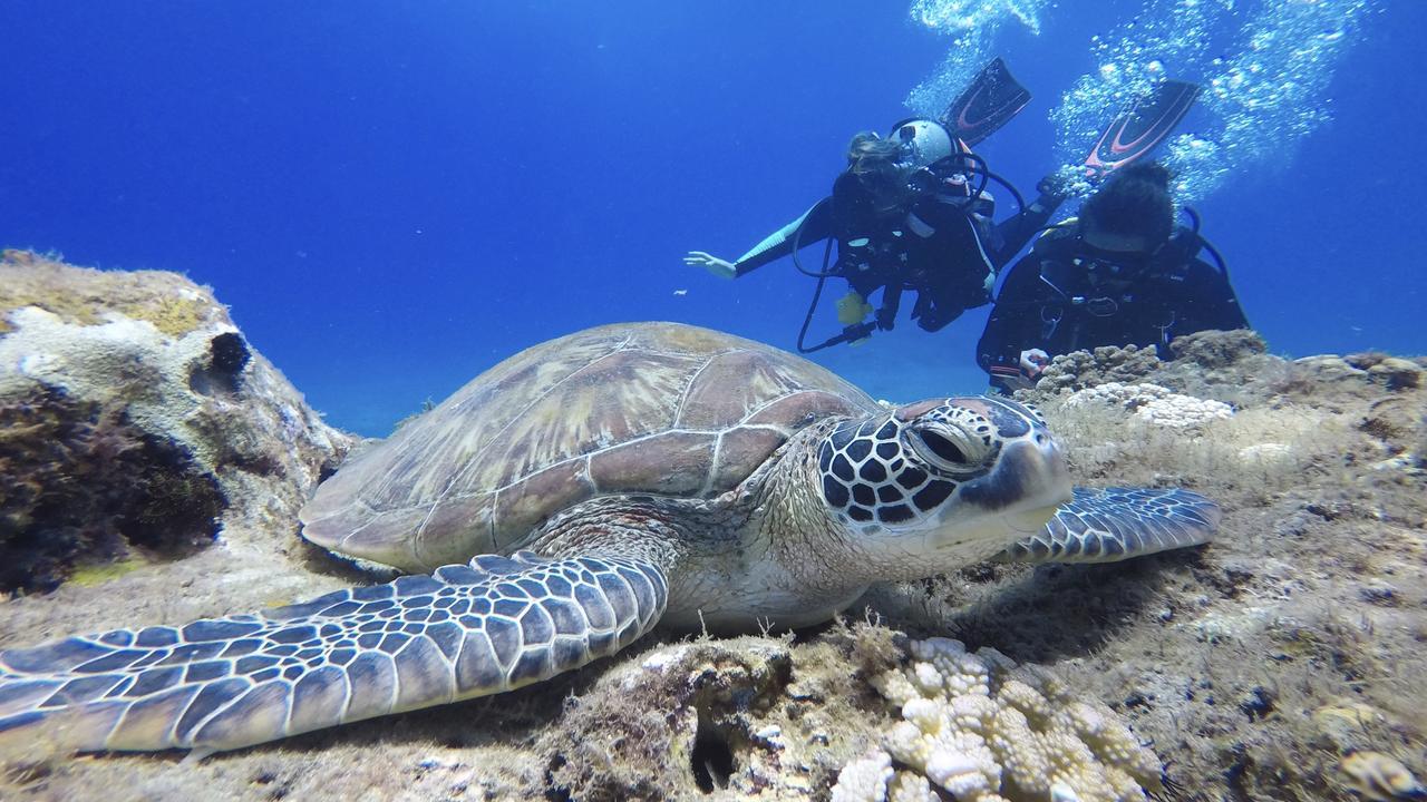 Stay Liuqiu Diving Hostel Xiaoliuqiu Buitenkant foto